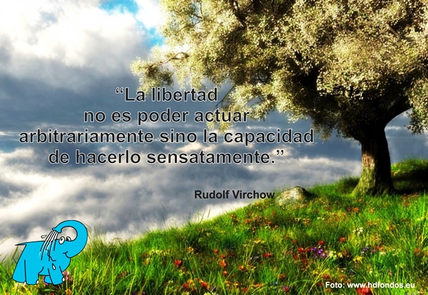 Una Enseñanza de Rudolf Virchow sobre La Libertad, en La Frase del Día del Elefante Azul de Avilés